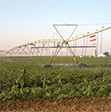 Photo of irrigation