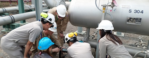Natural gas emissions inspection