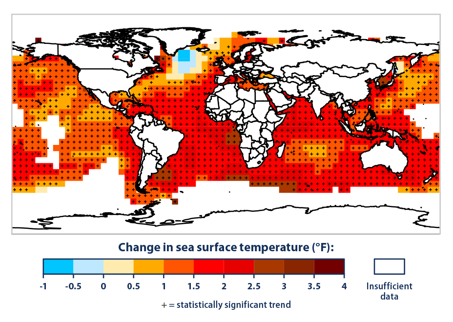 Color-coded map of the world showing changes in average sea surface temperature from 1901 to 2015.