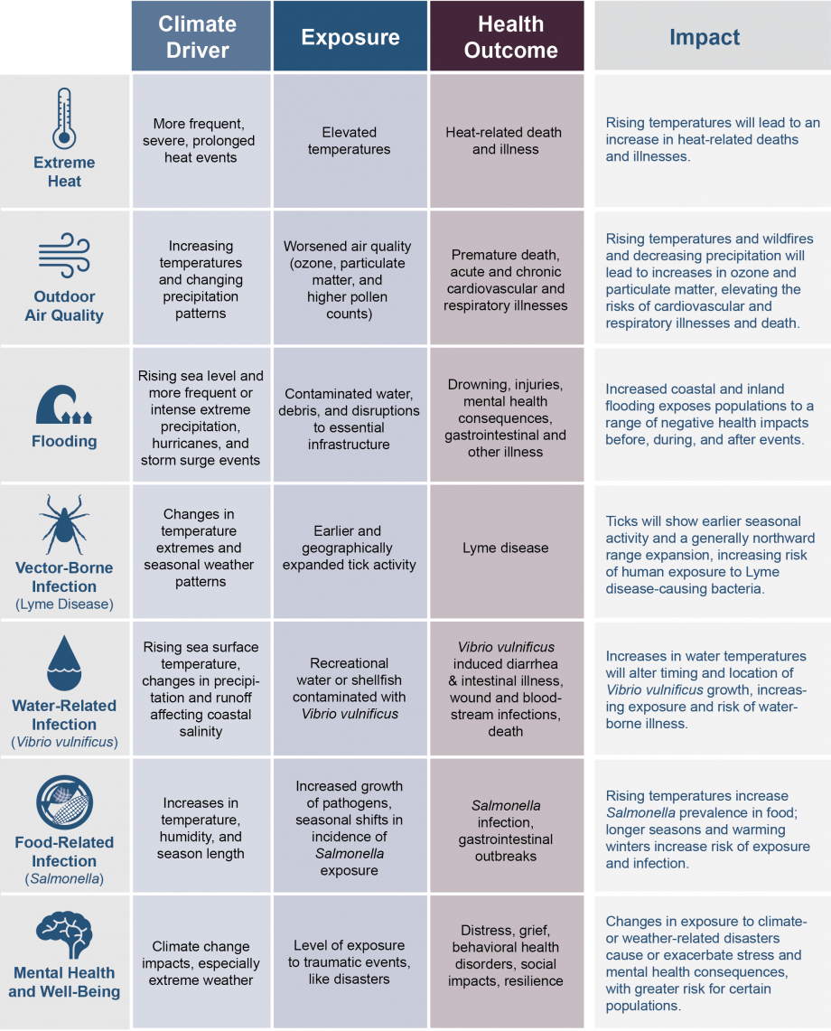 Diagram showing specific examples of how climate change can affect human health, now and in the future. These effects could occur at local, regional, or national scales. Examples include extreme heat, outdoor air quality, flooding, & vector-borne disease.