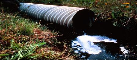 Illegal sewer outfall pipe into wetland