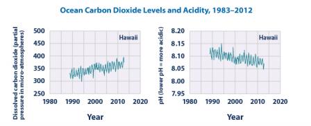 Two line graphs. The left graph shows dissolved carbon dioxide (partial pressure in micro-atmospheres) in Hawai’i, increasing from about 325 in 1988 to 380 in 2014. The right graph shows pH in Hawai'i, decreasing from 8.11 in 1988 to 8.07 in 2014.