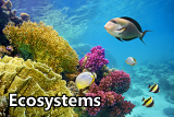 icon for the ecosystems sector